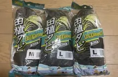 Item thumbnail for item 48662a32-8aab-44e7-89ef-4743f082896d