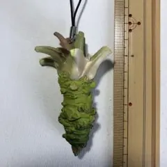 ネイチャーテクニカラー ガチャ 山菜ストラップ ワサビ