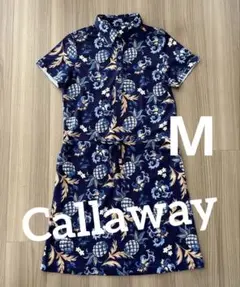 Item thumbnail for item 13794bad-312a-44db-bc53-6421630504cd