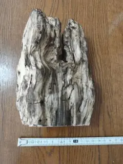 Item thumbnail for item abecfaf8-643f-4a7d-84d7-5630e1eedc91