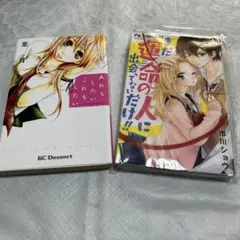 市川ショウ 少女漫画 2冊セット