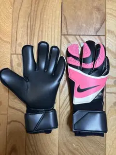2025年最新】プロ支給品 キーパーグローブ ナイキの人気アイテム