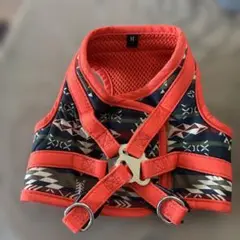 Item thumbnail for item d8075f21-45b6-4107-8295-27364322db96