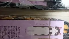 新品 鬼滅の刃 禰豆子 ねずこ ポップコーンバケツ ユニバ