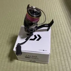 ダイワ 21 カルディア LT2500S
