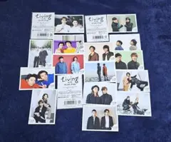 Item thumbnail for item 455a8150-cbfd-4a07-9545-07518bb322f2