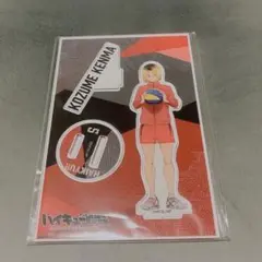 ハイキュー!! 10周年記念展 孤爪研磨 アクスタ
