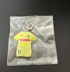 アルビレックス新潟　ユニフォーム　ミニキーホルダー　内山翔太　#71