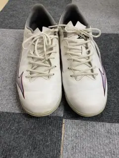 Item thumbnail for item 384b5174-5d13-4dfb-8c5e-e28509b7c709