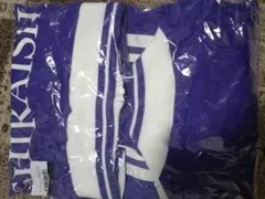 Item thumbnail for item 6b4814a1-41c6-4710-a7b7-f7a102ef50b3