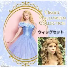 シークレットハニー 実写 シンデレラ ドレスu0026ウィッグセット