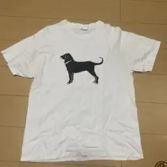The Black Dog ヴィンテージTシャツ 90s 柴田ひかり着用