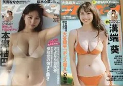 【2冊セット】週刊プレイボーイ　本郷柚巴　溝端葵　DVD 未開封　応募券なし