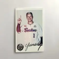 東京ヤクルトスワローズ レディースデー限定 プロ野球カード 山田哲人