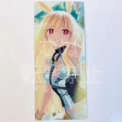FGO 最終再臨展 編成画面風カード　ランサー　ワルキューレ