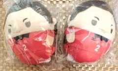 ハイキュー　海信行　もちころりん