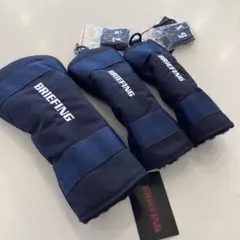 Item thumbnail for item 9a482944-79a3-4b9a-8de6-c7eeaedc6076