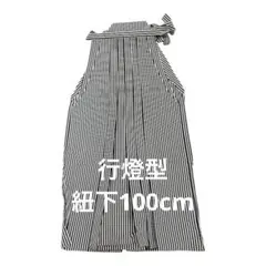 Item thumbnail for item 86ec3145-a2ec-4968-97d2-176672bf6661