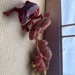 カメレオン置物