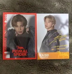 THE RAMPAGE PRIMAL SPIDER 武知海青サイン入り　フォトカ