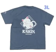 【新品】ドラゴンボール　Tシャツ　カリン様　3Lサイズ　かりん様