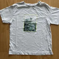 GU ジーユー　ネックスリット 　Tシャツ