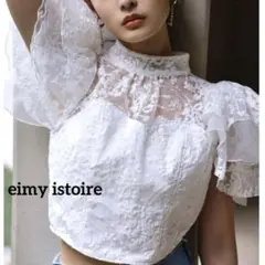 eimy istoire エンジェルスリーブオーガンブラウス