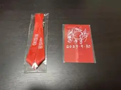 ゆず HIBIKI 2023 YZ席 特典パス