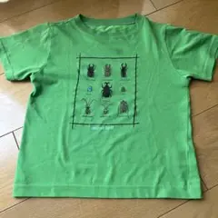 mont-bell 昆虫デザイン Tシャツ 120㎝　半袖