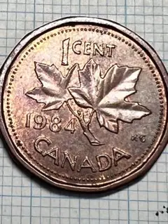 カナダ 1996年未流通コイン ルーニー　専用ケース 貨幣 古銭 1ドル カナダ」の人気商品一覧 | 安い商品を通販