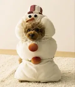 Item thumbnail for item 05d56329-261e-43d3-91e3-2890f9774491