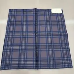 Item thumbnail for item 0d8eb27e-76e1-4cec-ba14-0b5bb0fd3bf8