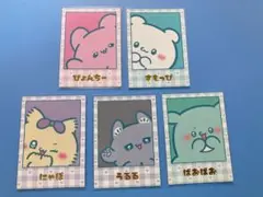 らぶいーず　フォトカードコレクション　５種