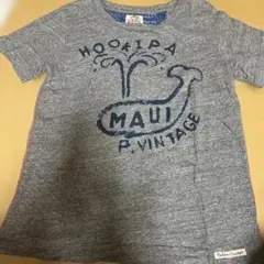 レディース　夏　ナチュラル　クジラ Tシャツ　LIME.INC 半袖