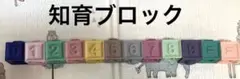 知育ブロック　12個入り