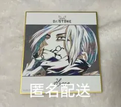 Dr.Stone ドクターストーン　氷月　色紙　アニアート　ani-art