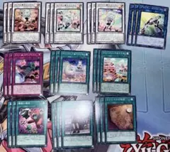ヤミーパーツ30枚①