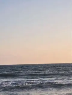 専用