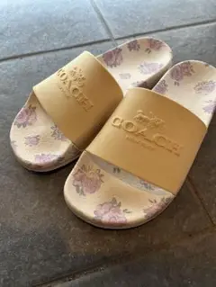 Item thumbnail for item f9bfdf91-be9d-43b4-8a69-6fc9de3d6f50