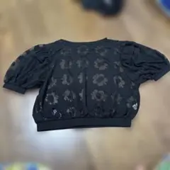 ドットアンドストライプス　シースルートップス