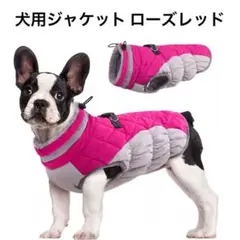 Item thumbnail for item 579f2955-f607-4441-b89f-002e6fe782dc