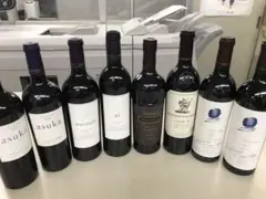 オーパスワンを含むカリフォルニアワイン 20本セット