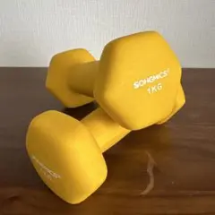 1kg ダンベル 2個セット イエロー