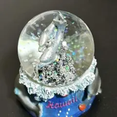 スノードーム（ハワイ）