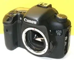 Item thumbnail for item 88fb5a33-eb53-428b-9dde-c45350f3178a
