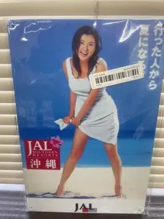 JAL 沖縄 藤原紀香 アルミ看板 レトロ 看板 新品 アンティーク