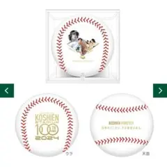 ルーキーズ　甲子園球場100周年漫画コラボ　ボール（ケース入り）記念品