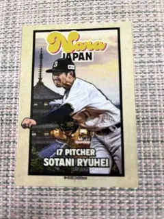 オリックスSOTANI RYUHEI ピッチャーカード 17番