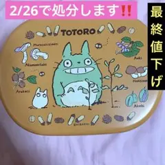 トトロ 大容量 お弁当箱