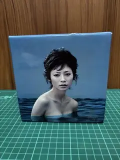 週刊真木よう子 DVD-BOX〈初回限定生産・13枚組〉